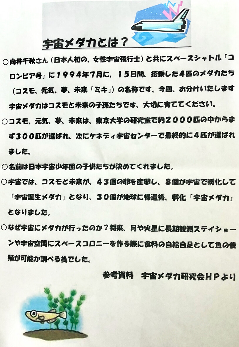 宇宙メダカとは