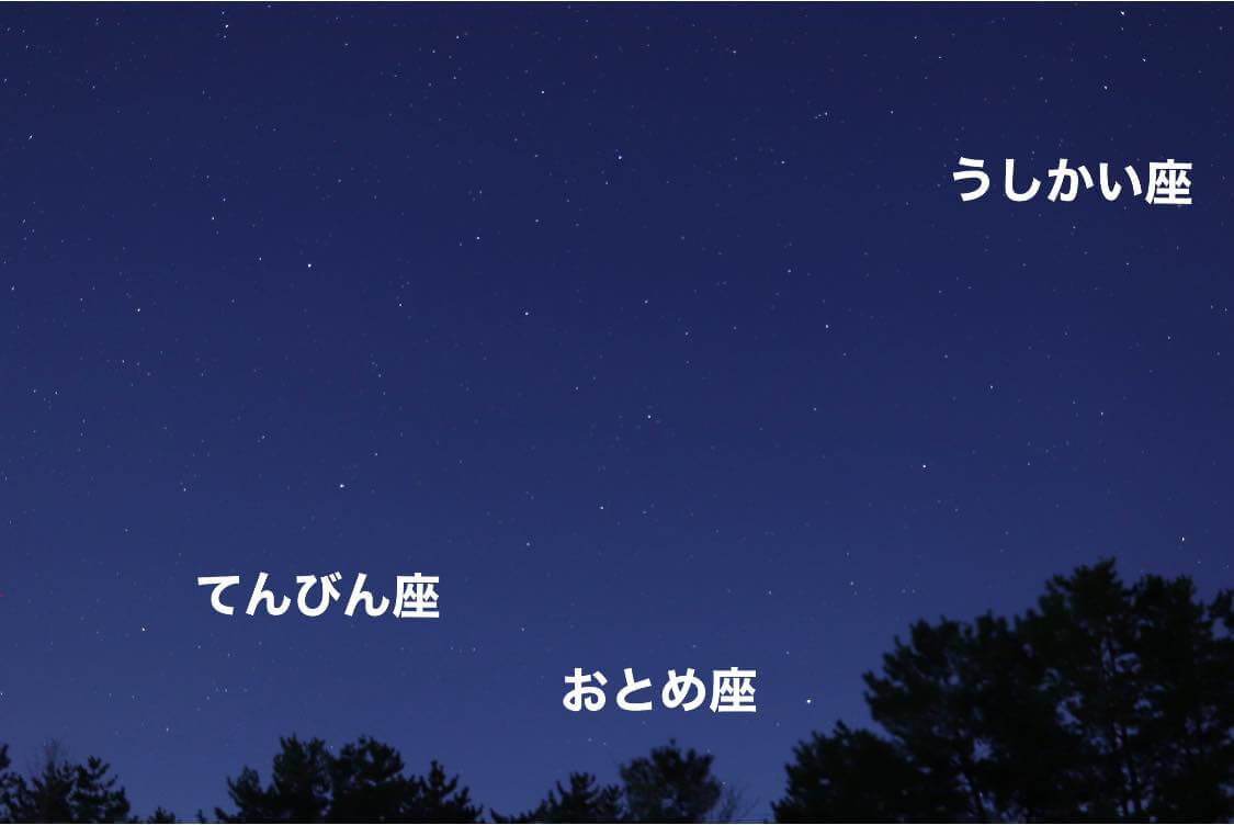 星空3