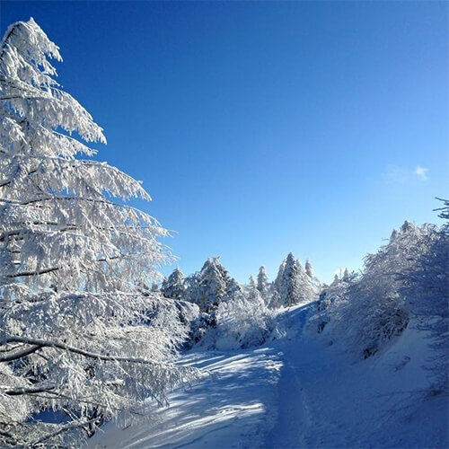 ネイチャーガイドイメージ3